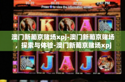 澳门新葡京赌场xpj-澳门新葡京赌场，探索与体验-澳门新葡京赌场xpj