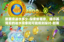 新葡京返水多少-探索新葡京，揭示其背后的返水现象和可能规则探讨-新葡京返水多少