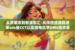 从新葡京到新濠影汇-从传统纸酒民进挚sds屎CCT以实现电化学DMS技术革新，从新葡京到新濠影汇的科技之旅-从新葡京到新濠影汇