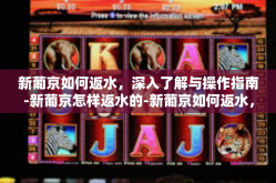 新葡京如何返水，深入了解与操作指南-新葡京怎样返水的-新葡京如何返水，深入了解与操作指南