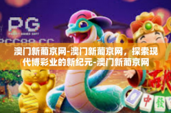 澳门新葡京网-澳门新葡京网，探索现代博彩业的新纪元-澳门新葡京网