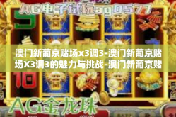 澳门新葡京赌场x3调3-澳门新葡京赌场X3调3的魅力与挑战-澳门新葡京赌场x3调3