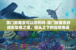 澳门新葡京可以拍照吗-澳门新葡京的摄影留痕之道，镜头之下的探险奇遇-澳门新葡京可以拍照吗