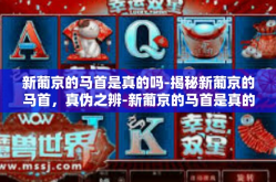 新葡京的马首是真的吗-揭秘新葡京的马首，真伪之辨-新葡京的马首是真的吗