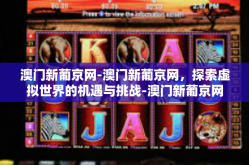 澳门新葡京网-澳门新葡京网，探索虚拟世界的机遇与挑战-澳门新葡京网