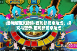 缅甸新葡京赌场-缅甸新葡京赌场，探究与警示-缅甸新葡京赌场