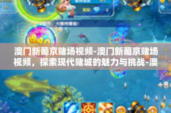 澳门新葡京赌场视频-澳门新葡京赌场视频，探索现代赌城的魅力与挑战-澳门新葡京赌场视频