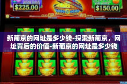 新葡京的网址是多少钱-探索新葡京，网址背后的价值-新葡京的网址是多少钱