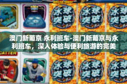 澳门新葡京 永利班车-澳门新葡京与永利班车，深入体验与便利旅游的完美组合-澳门新葡京 永利班车