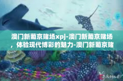 澳门新葡京赌场xpj-澳门新葡京赌场，体验现代博彩的魅力-澳门新葡京赌场xpj