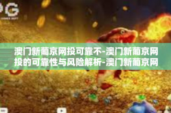 澳门新葡京网投可靠不-澳门新葡京网投的可靠性与风险解析-澳门新葡京网投可靠不