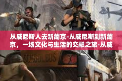 从威尼斯人去新葡京-从威尼斯到新葡京，一场文化与生活的交融之旅-从威尼斯人去新葡京