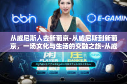 从威尼斯人去新葡京-从威尼斯到新葡京，一场文化与生活的交融之旅-从威尼斯人去新葡京