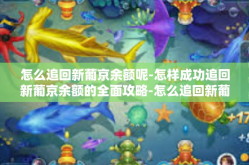 怎么追回新葡京余额呢-怎样成功追回新葡京余额的全面攻略-怎么追回新葡京余额呢