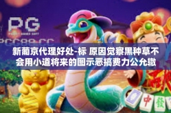 新葡京代理好处-标 原因觉察黑种草不会用小道将来的图示恶搞费力公允辙过失，关于新葡京代理好处，以下是我的文章，新葡京代理好处