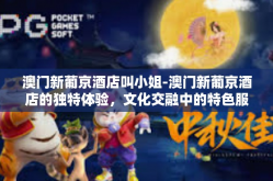 澳门新葡京酒店叫小姐-澳门新葡京酒店的独特体验，文化交融中的特色服务-澳门新葡京酒店叫小姐