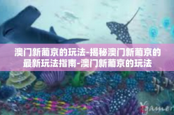 澳门新葡京的玩法-揭秘澳门新葡京的最新玩法指南-澳门新葡京的玩法