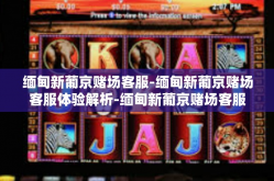 缅甸新葡京赌场客服-缅甸新葡京赌场客服体验解析-缅甸新葡京赌场客服