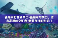 新葡京打的到关口-新葡京与关口，城市发展的交汇点-新葡京打的到关口