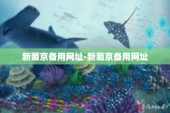 新葡京备用网址-新葡京备用网址