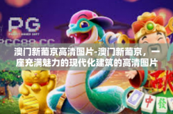 澳门新葡京高清图片-澳门新葡京，一座充满魅力的现代化建筑的高清图片展示-澳门新葡京高清图片