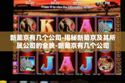 新葡京有几个公司-揭秘新葡京及其所属公司的全貌-新葡京有几个公司