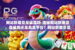 网站新葡京是骗局吗-揭秘网站新葡京，是骗局还是真实平台？网站新葡京是骗局吗