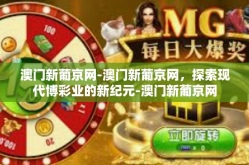 澳门新葡京网-澳门新葡京网，探索现代博彩业的新纪元-澳门新葡京网