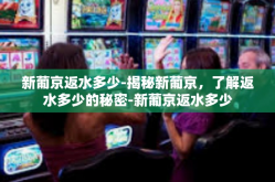 新葡京返水多少-揭秘新葡京，了解返水多少的秘密-新葡京返水多少