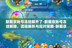 新葡京账号冻结解开了-新葡京账号冻结解除，流程解析与应对策略-新葡京账号冻结解开了