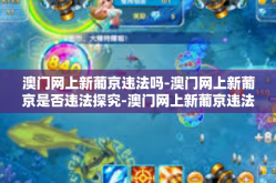 澳门网上新葡京违法吗-澳门网上新葡京是否违法探究-澳门网上新葡京违法吗