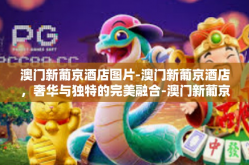 澳门新葡京酒店图片-澳门新葡京酒店，奢华与独特的完美融合-澳门新葡京酒店图片