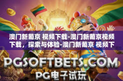 澳门新葡京 视频下载-澳门新葡京视频下载，探索与体验-澳门新葡京 视频下载
