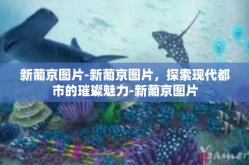新葡京图片-新葡京图片，探索现代都市的璀璨魅力-新葡京图片