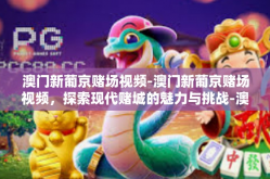 澳门新葡京赌场视频-澳门新葡京赌场视频，探索现代赌城的魅力与挑战-澳门新葡京赌场视频