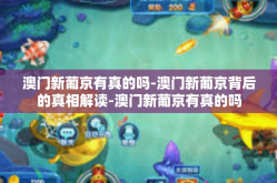 澳门新葡京有真的吗-澳门新葡京背后的真相解读-澳门新葡京有真的吗