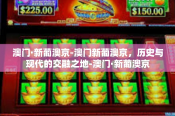 澳门·新葡澳京-澳门新葡澳京，历史与现代的交融之地-澳门·新葡澳京