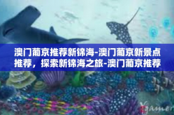 澳门葡京推荐新锦海-澳门葡京新景点推荐，探索新锦海之旅-澳门葡京推荐新锦海