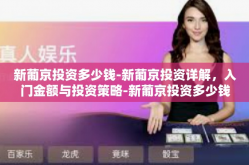 新葡京投资多少钱-新葡京投资详解，入门金额与投资策略-新葡京投资多少钱