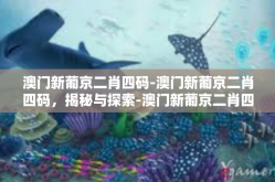 澳门新葡京二肖四码-澳门新葡京二肖四码，揭秘与探索-澳门新葡京二肖四码