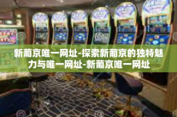 新葡京唯一网址-探索新葡京的独特魅力与唯一网址-新葡京唯一网址