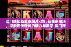 澳门赌场新葡京图片-澳门新葡京赌场，探索现代赌城的魅力与风采-澳门赌场新葡京图片
