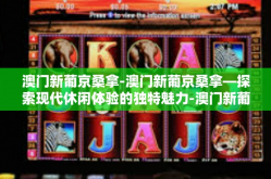 澳门新葡京桑拿-澳门新葡京桑拿—探索现代休闲体验的独特魅力-澳门新葡京桑拿