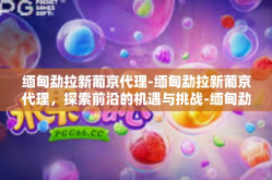 缅甸勐拉新葡京代理-缅甸勐拉新葡京代理，探索前沿的机遇与挑战-缅甸勐拉新葡京代理