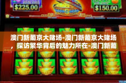 澳门新葡京大赌场-澳门新葡京大赌场，探访繁华背后的魅力所在-澳门新葡京大赌场