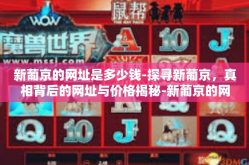 新葡京的网址是多少钱-探寻新葡京，真相背后的网址与价格揭秘-新葡京的网址是多少钱