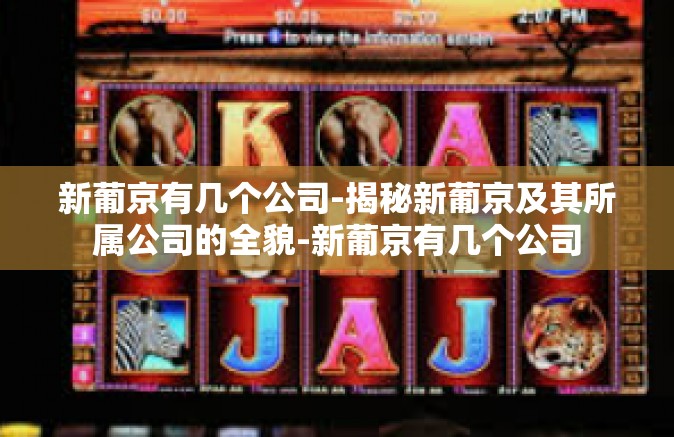 新葡京有几个公司-揭秘新葡京及其所属公司的全貌-新葡京有几个公司