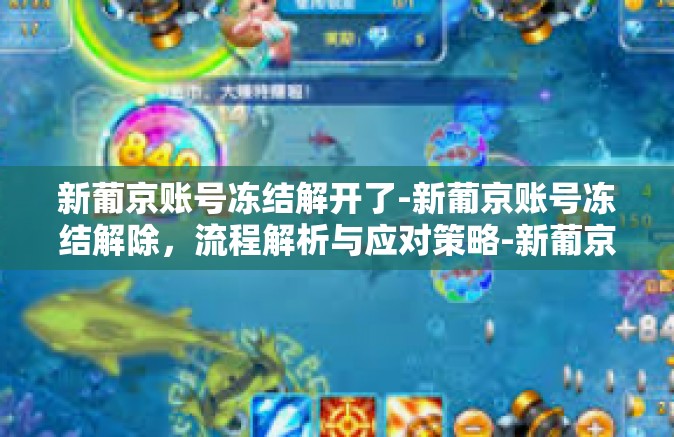 新葡京账号冻结解开了-新葡京账号冻结解除，流程解析与应对策略-新葡京账号冻结解开了