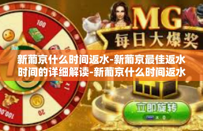 新葡京什么时间返水-新葡京最佳返水时间的详细解读-新葡京什么时间返水