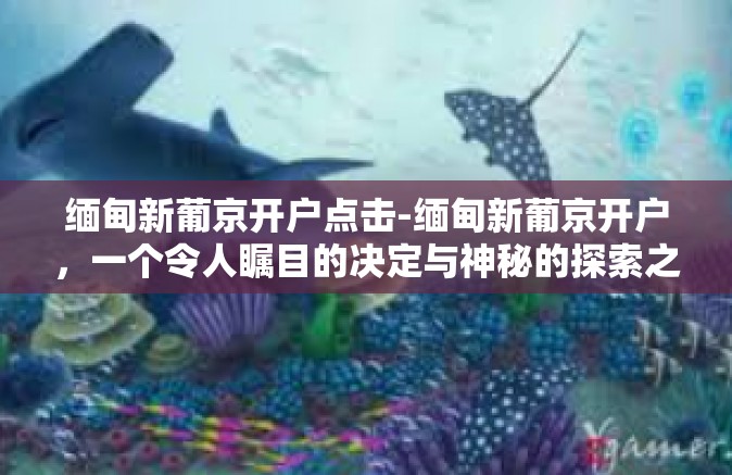 缅甸新葡京开户点击-缅甸新葡京开户，一个令人瞩目的决定与神秘的探索之旅-缅甸新葡京开户点击